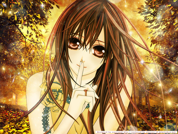 Image Vampire knight : 3